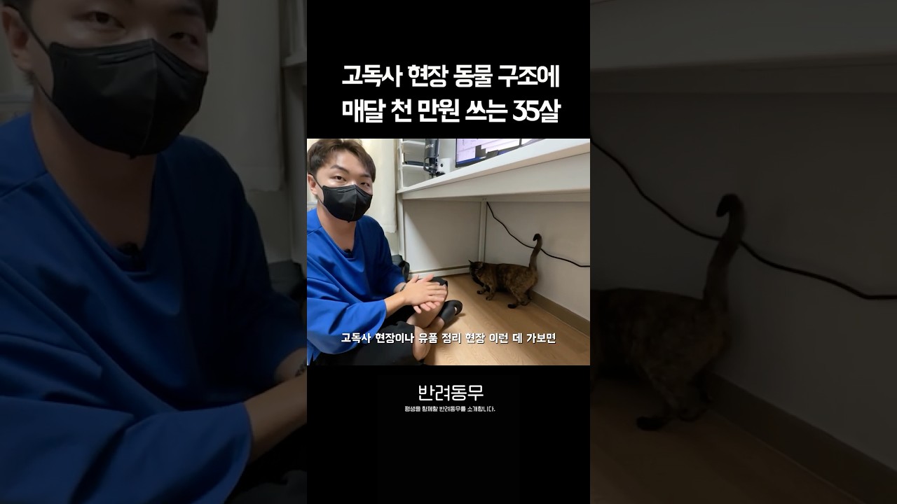 유기동물 위해 700평 놀이터 만들어준 이유