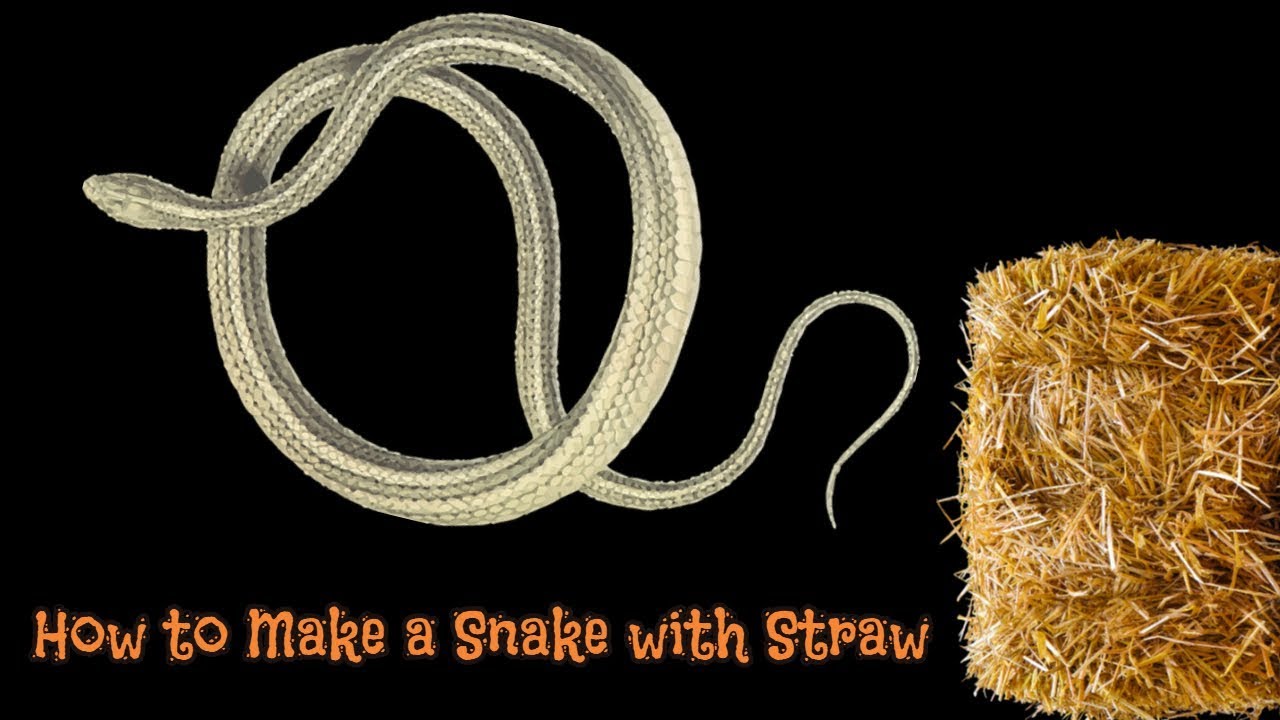 How to Make a Snake with Straw How to Make a Snake Using Straw YouTube