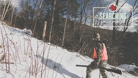 Searching - A New England Bird Hunting Story - Project Upland Original Film