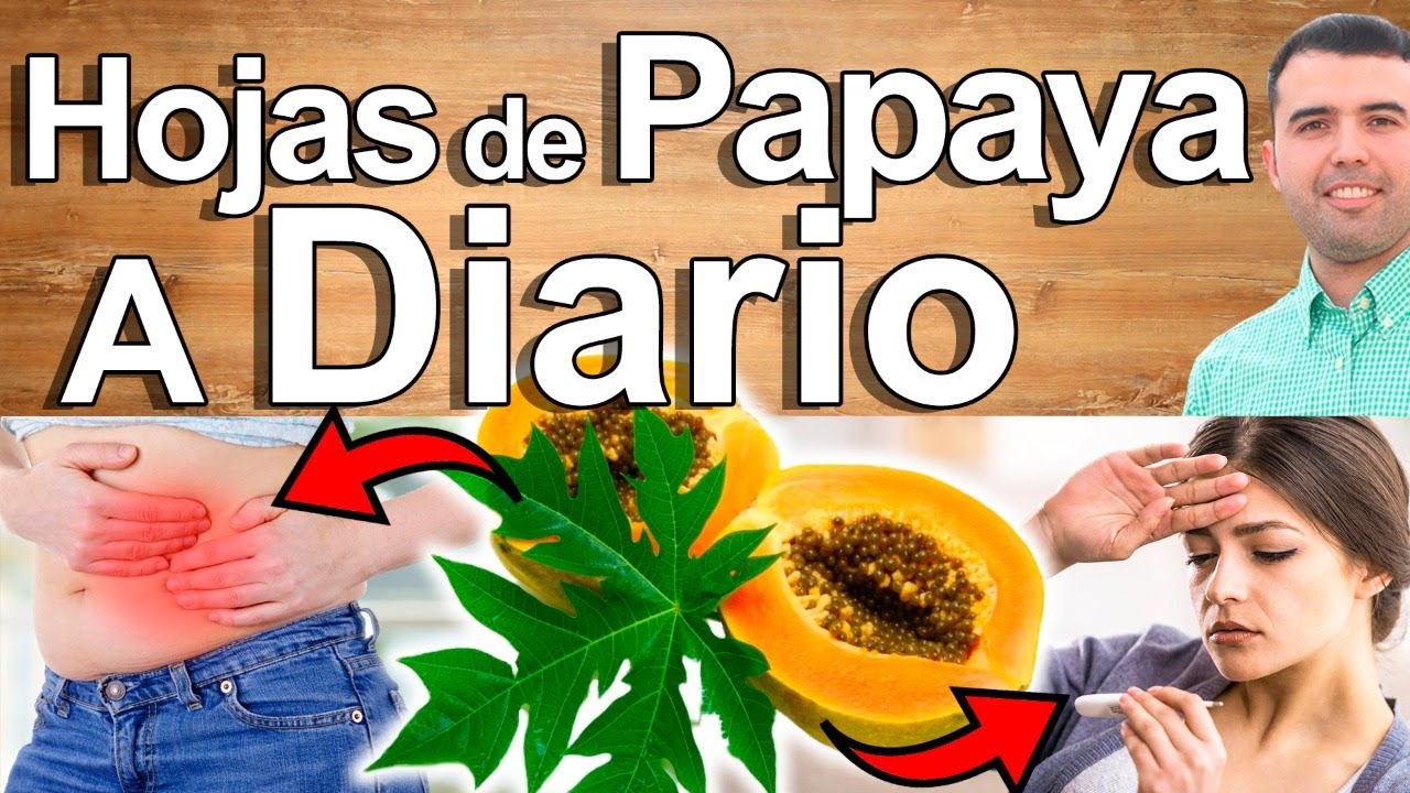 Té Hojas De Papaya En Ayunas - Para Qué Sirve? Beneficios Para Tu Salud Y Belleza