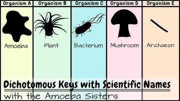 Dichotomous Keys: Identification Achievement Unlocked
