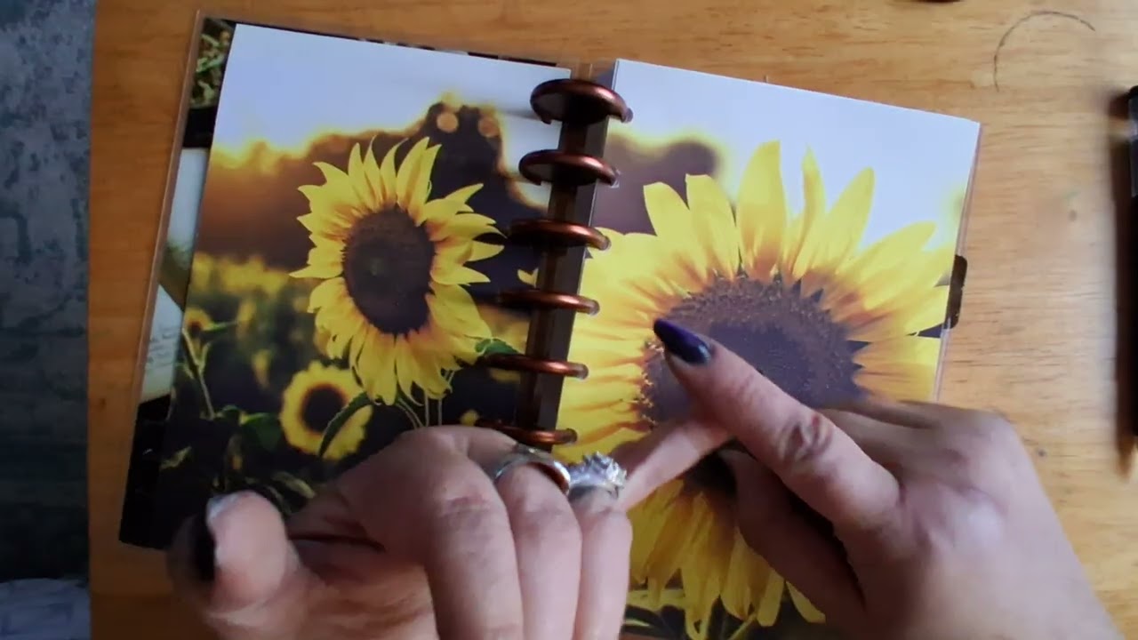 New Janes Agenda Dashboard  plus new health tracker planner