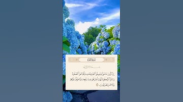 سورة البقرة {277}