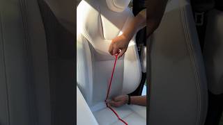 Tesla white seat cleaning at home #cars #automobile #tesla #ev