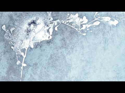 Fabio Orsi — FABIO ORSI : PRIMO APPUNTO