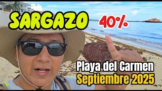 Playa del Carmen, Sargazo-Septiembre 2025