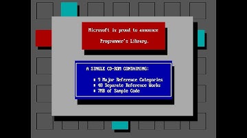 Microsoft Programmer