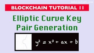 Blockchain tutorial 11: Elliptic Curve key pair generation