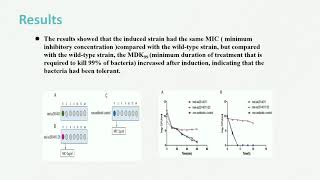 cfa gene in ampicillin tolerance in Shigella - Video abstract [ID 211550]