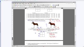 Punnett Squares Monohybrid Cross:  Doing a test cross