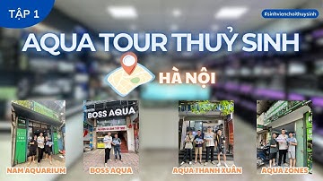 (TẬP 1) AQUA TOUR - KHÁM PHÁ CÁC CỬA HÀNG CÁ CẢNH THUỶ SINH HÀ NỘI CÙNG SINH VIÊN CHƠI THUỶ SINH