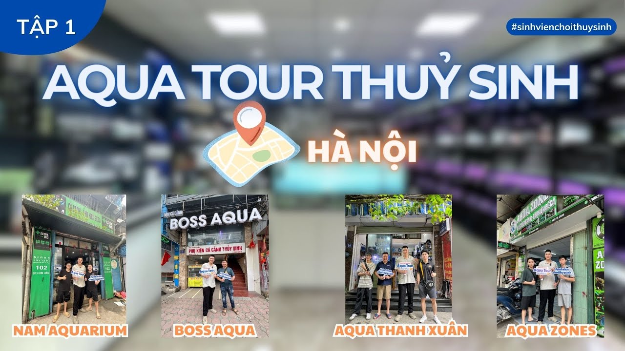 (TẬP 1) AQUA TOUR - KHÁM PHÁ CÁC CỬA HÀNG CÁ CẢNH THUỶ SINH HÀ NỘI CÙNG SINH VIÊN CHƠI THUỶ SINH