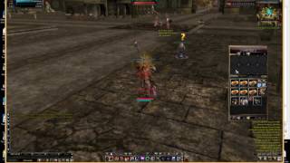 Twelve Sky 2 Invertori bug