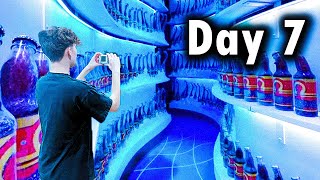 The Liminal Space Road Trip: Day 7 (Meow Wolf)