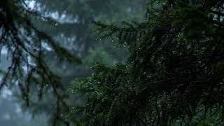 Rain sounds for sleep - under Tony Anderson's Lune