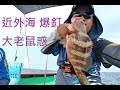 [新手釣魚佬] 2018年9月9日 近外海 爆釘 仲有大老鼠惑