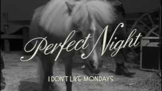 Perfect Night