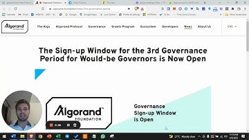 gAlgobullish Strategy Folks Finance + Tinyman $gALGO