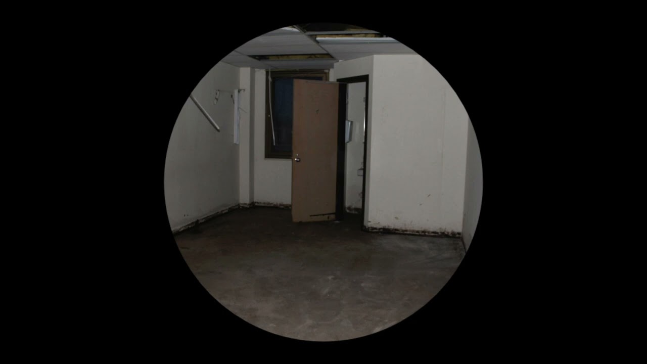 godteeth - Aural Decoy [006]