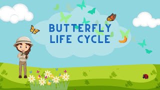 Life cycle of butterfly | From Caterpillar to Butterfly | #aumsum #kids #science #education #whatif