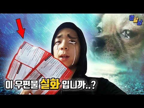 (멘탈나감) 영국에서 택배를 시켰는데, 정말 어이없는 우편을 받았다