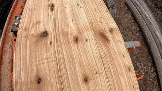 Wood-Mizer LT40 Wide Milling Butternut v2.0 # 106