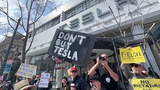 Bay Area protesters joins national 'Tesla Takedown' rallies against Elon Musk, DOGE cuts