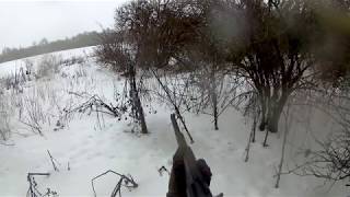 охота на лису норная с ягдтерьером охота на лису норная с ягдтерьером