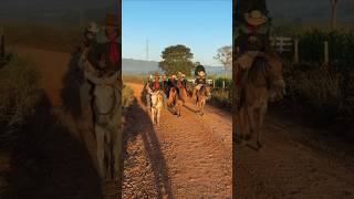 VIAGEN SERTANEJA #cowboy #boadeiro #fm