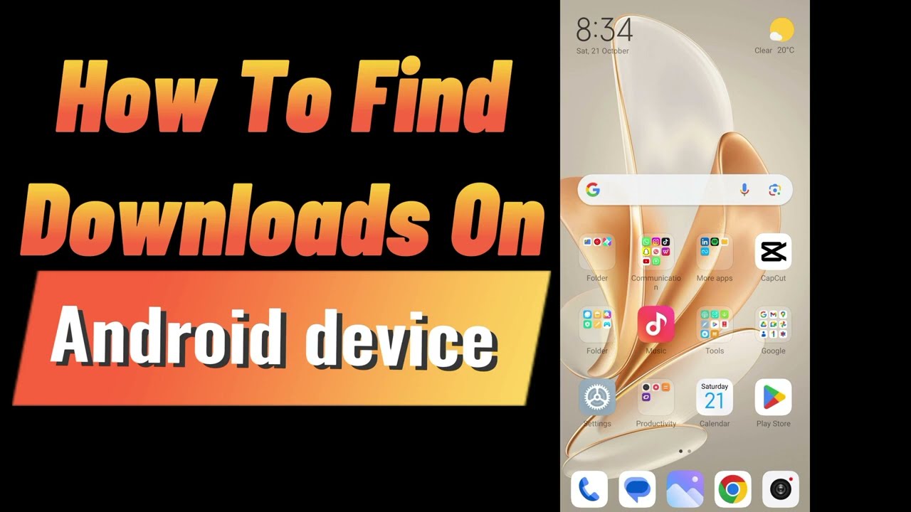 How To Find downloads On Android device (2024)