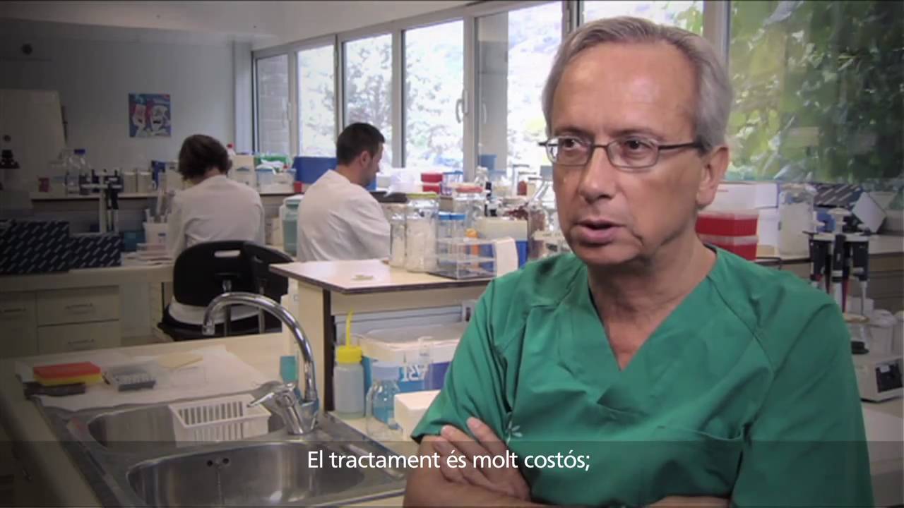 estalvi energetic Recerca_Oportunitats que creixen