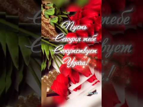 #доброеутро #сдобрымутром #сдобрымутромоткрыткимузыкальные #утродоброе #хорошегоднятебе