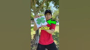 I Found a Four Leaf Clover