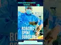 Robotic Spine Surgery #spine #robotics #minimallyinvasivespinesurgery
