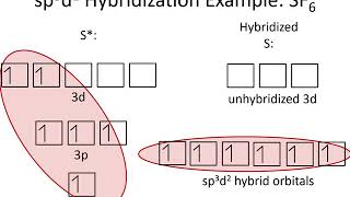 5.2C-Hybridization Examples sp3d sp3d2 Lone Pairs Profile