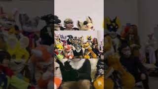 First time meet some#furry  friends at the#comiccon #fursuit #kemono #furryfandom #fursuiting