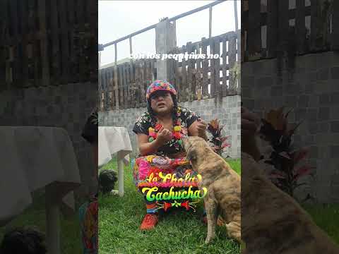 a los animalitos