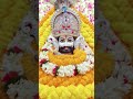 Jai Ho mere shyam ki🙏🙏#ytshorts @LifeGod2112 @Khatubhajan12