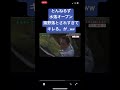 とんねるず、石橋貴明、木梨憲武。錦野落とされすぎてキレるww#shorts #おもしろ #おすすめ #炎上 #お笑い #とんねるずのみなさんのおかげでした