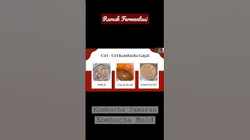 Thumbnail of Kombucha Jamuran #shorts #kombucha