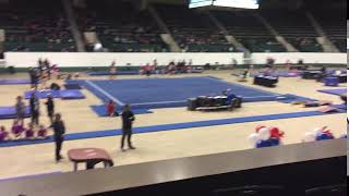 Sierra level 4 State 2017 Vault one