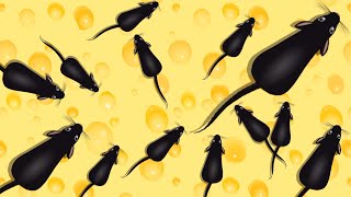 Cat Games Catching Rat 🐁 Cat Toy On Screen 🐁 Videos For Cats To Watch screenshot 5