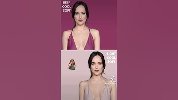 Have you ever felt like you don’t fit into a season? Try out the 6 dominant characteristics system!