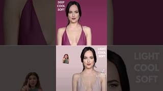 Have you ever felt like you don’t fit into a season? Try out the 6 dominant characteristics system! Wealth