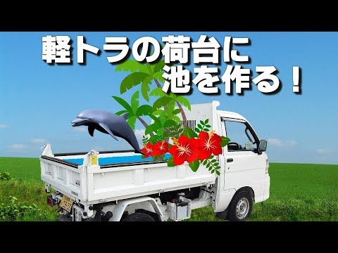 面白いメダカのエサを買った ビオトープでエサやり 軽ﾄﾗ ﾋﾞｵﾄｰﾌﾟ Youtube