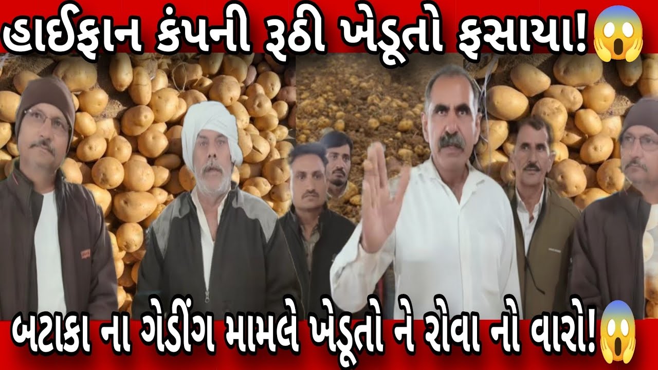 હાઈફાન કંપની રૂઠી ખેડૂતો ફસાયા! બટાકા ના ગેડીંગ ના મામલે ખેડૂતો ને રોવા નો વારો આવ્યો?😱