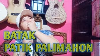 Batak Patik Palimahon Cover Era Andiny Nst