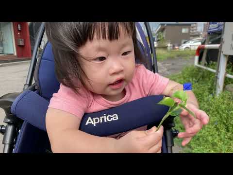 ゆずちゃんの公園デビュー‼️【1歳3ヶ月】
