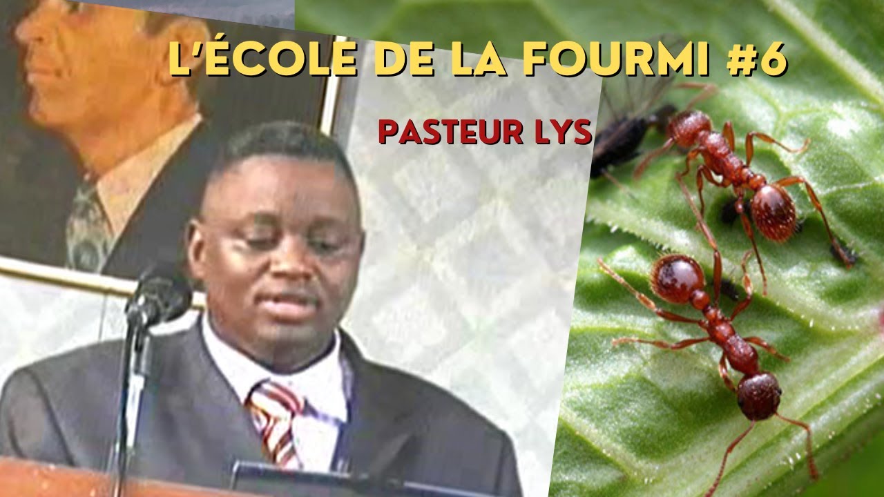 L’ÉCOLE DE LA FOURMI Partie 6/6