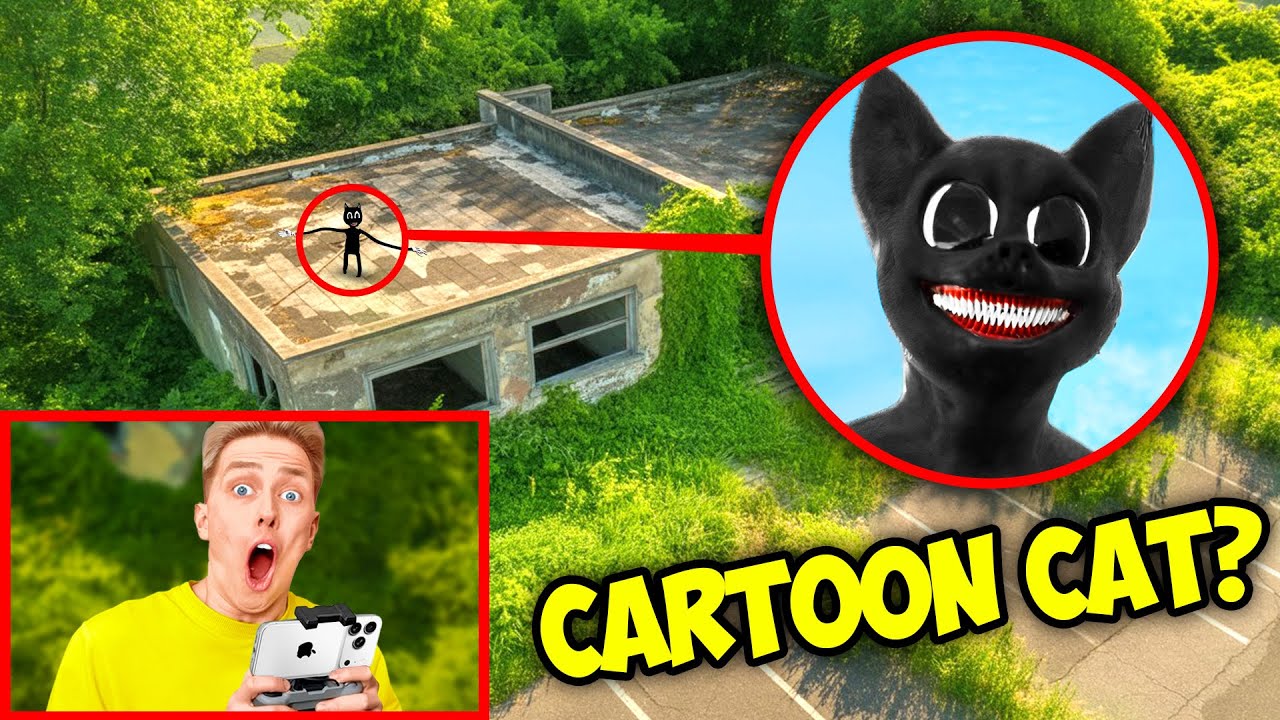 DRONE CATCHES CARTOON CAT !! (WE FOUND HIM!)
